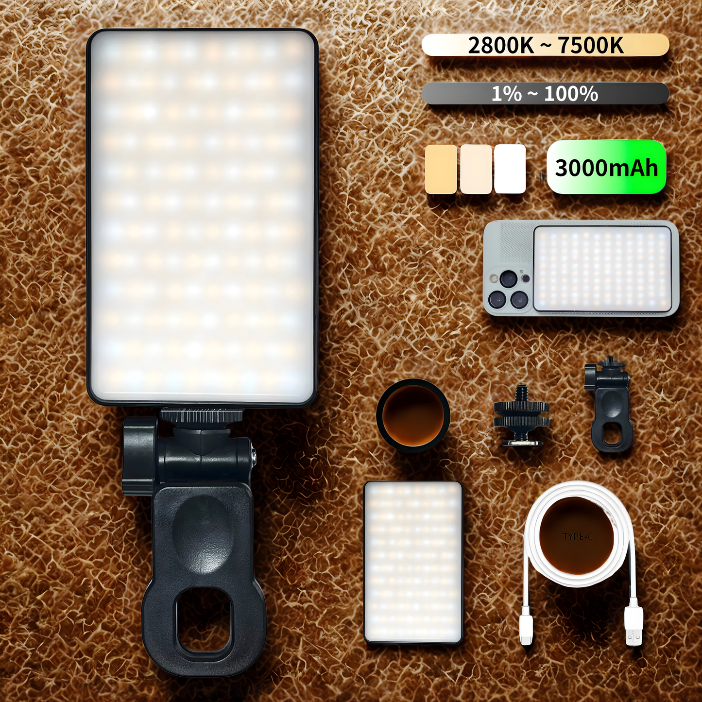 VivaLight360 LED Selfie